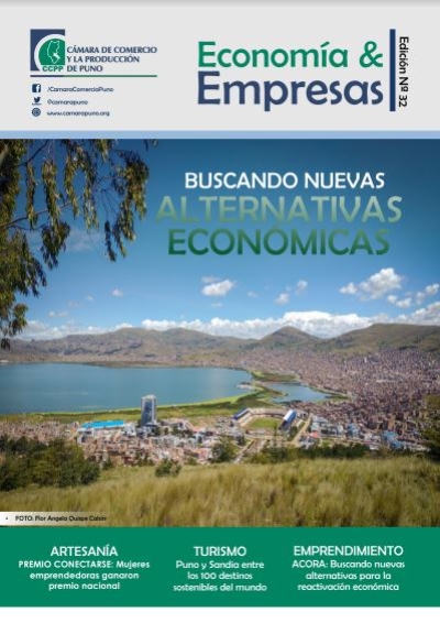 REVISTA CÁMARA PUNO 2021 - II