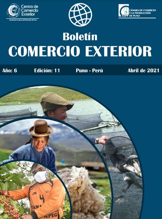 BOLETÍN COMERCIO EXTERIOR Nº 11