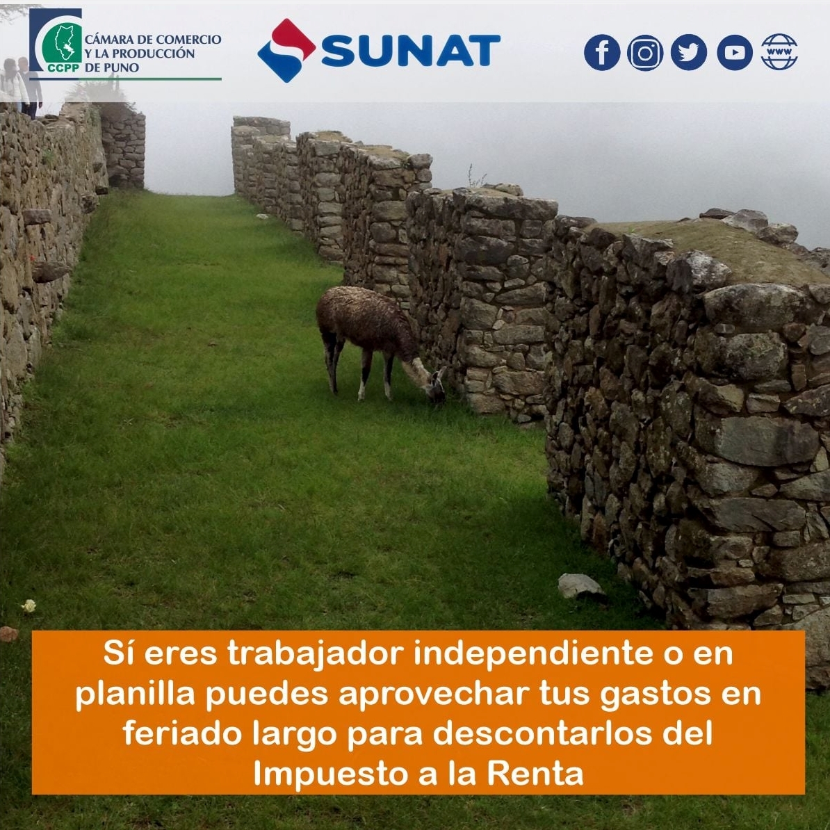 CONOCE CÓMO APROVECHAR TUS GASTOS EN  EL FERIADO LARGO PARA DESCONTARLOS  DEL IMPUESTO A LA RENTA