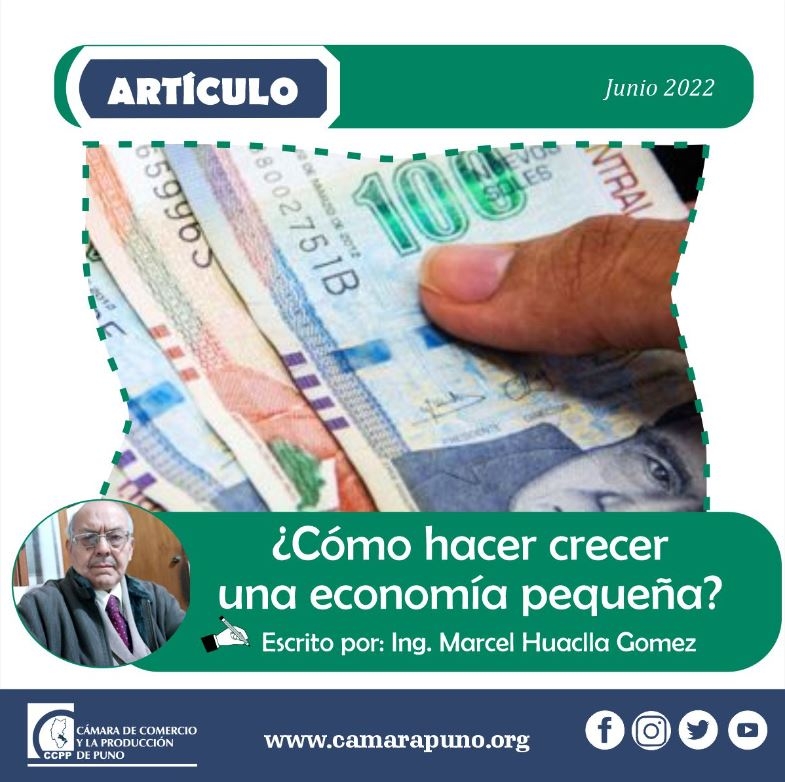 NOTAS SOBRE COMO HACER CRECER UNA ECONOMÍA PEQUEÑA