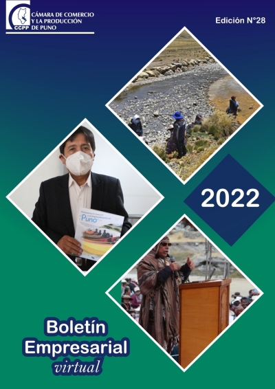 BOLETÍN SEMANAL N° 28-2022