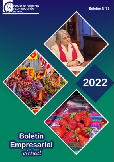 BOLETÍN SEMANAL N° 33-2022