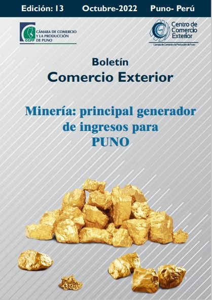 BOLETÍN COMERCIO EXTERIOR Nº 13