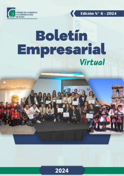 BOLETÍN SEMANAL N° 06-2024