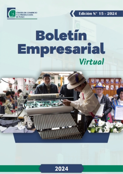 BOLETÍN SEMANAL N° 15-2024