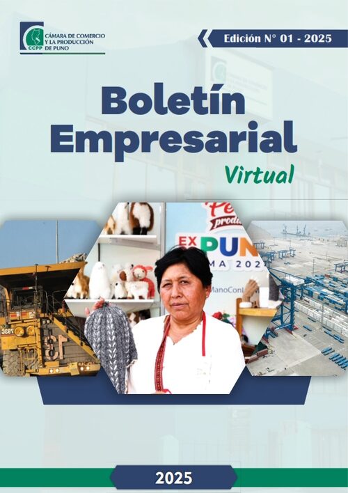 BOLETÍN SEMANAL N° 01-2025
