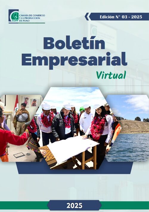 BOLETÍN SEMANAL N° 03-2025