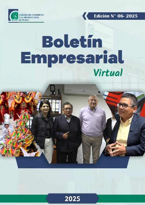 BOLETÍN SEMANAL N° 06-2025