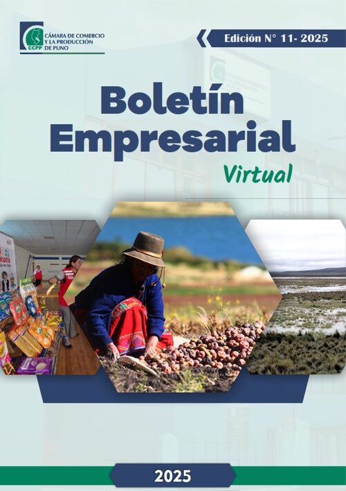 BOLETÍN SEMANAL N° 11-2025