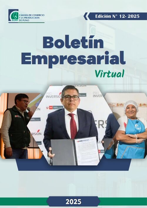 BOLETÍN SEMANAL N° 12-2025
