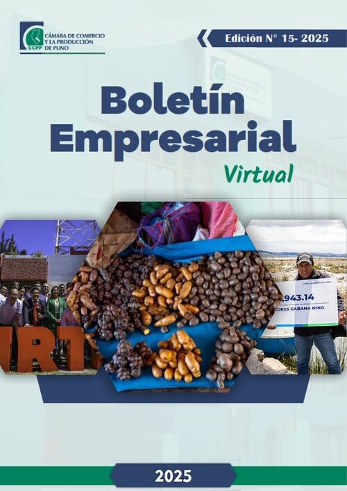 BOLETÍN SEMANAL N° 15-2025