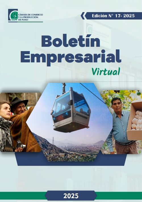 BOLETÍN SEMANAL N° 17-2025