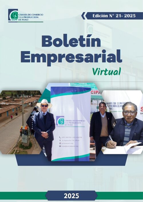 BOLETÍN SEMANAL N° 21-2025