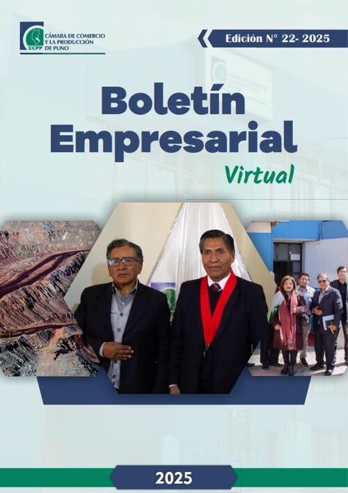 BOLETÍN SEMANAL N° 22-2025
