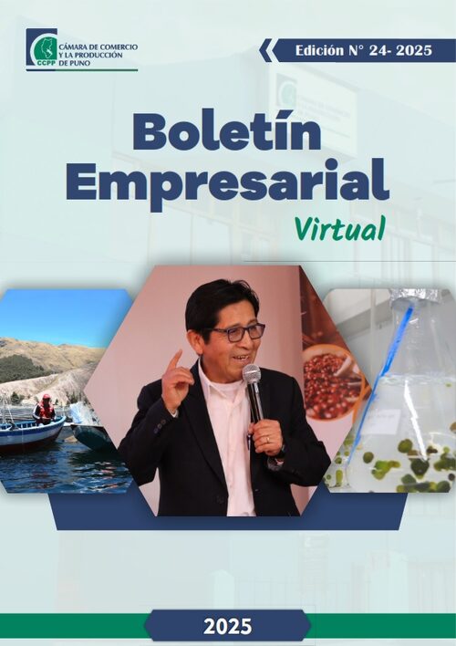 BOLETÍN SEMANAL N° 24-2025