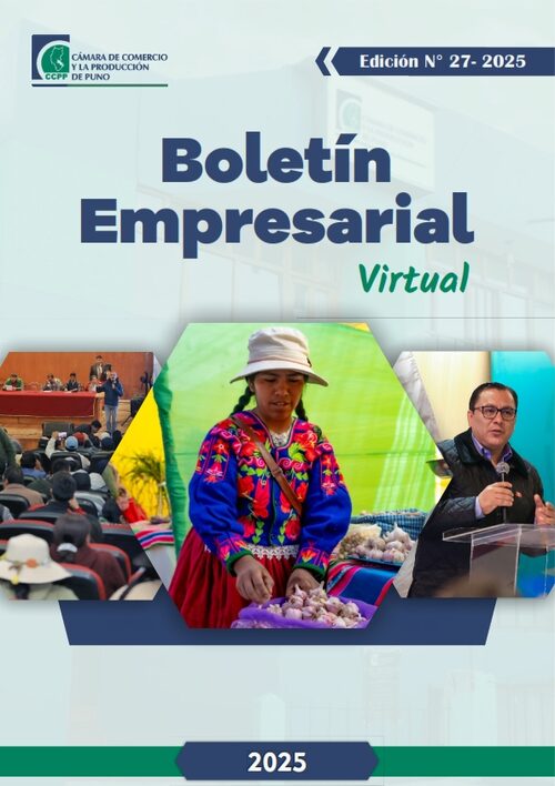 BOLETÍN SEMANAL N° 27-2025