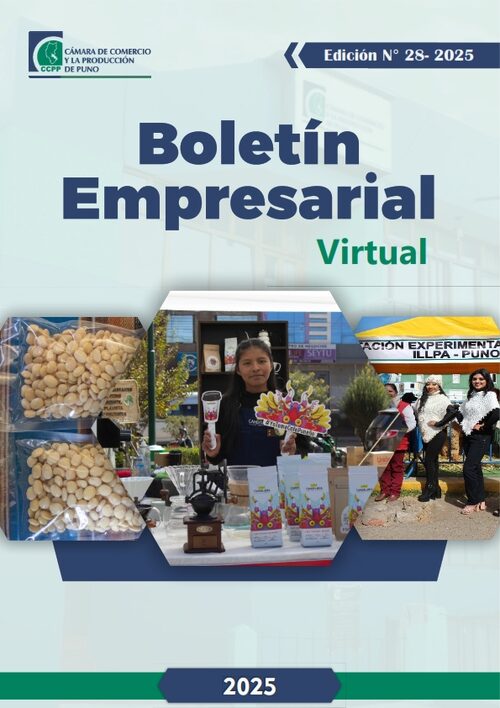 BOLETÍN SEMANAL N° 28-2025