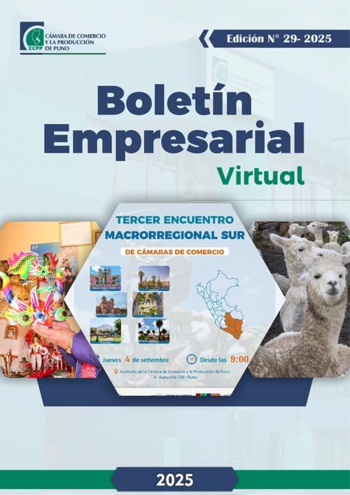 BOLETÍN SEMANAL N° 29-2025