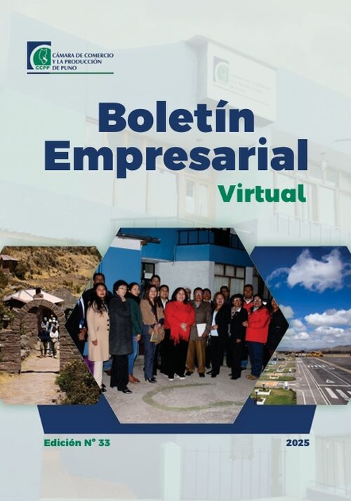 BOLETÍN SEMANAL N° 33-2025