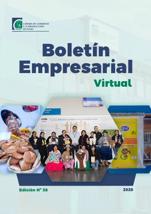 BOLETÍN SEMANAL N° 38-2025