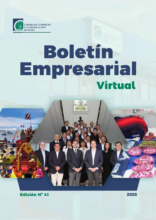 BOLETÍN SEMANAL N° 41-2025