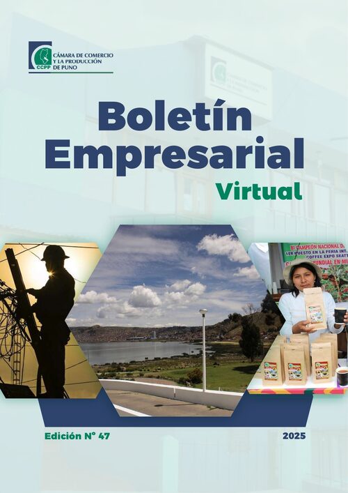 BOLETÍN SEMANAL N° 47-2025