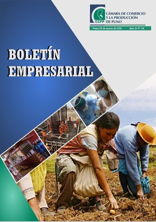 BOLETÍN SEMANAL N° 08-2021
