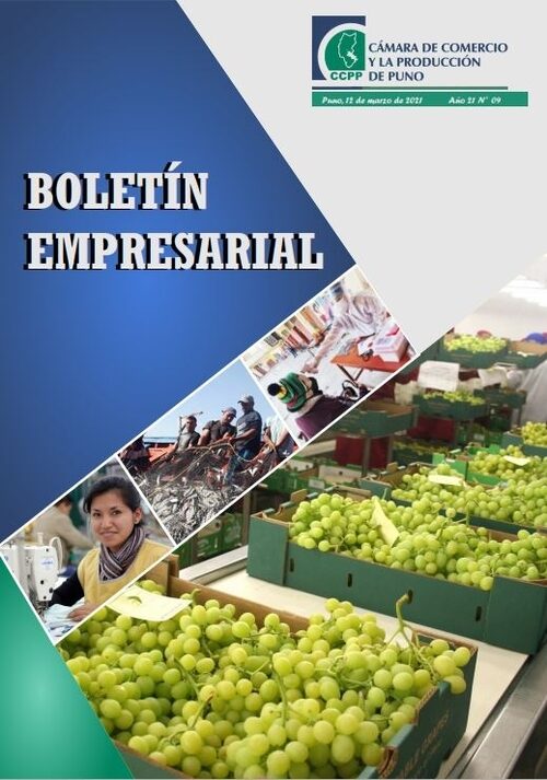 BOLETÍN SEMANAL N° 09-2021