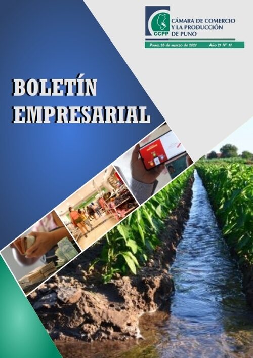 BOLETÍN SEMANAL N° 11-2021