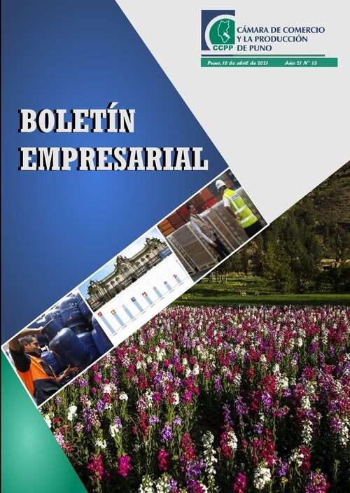 BOLETÍN SEMANAL N° 13-2021