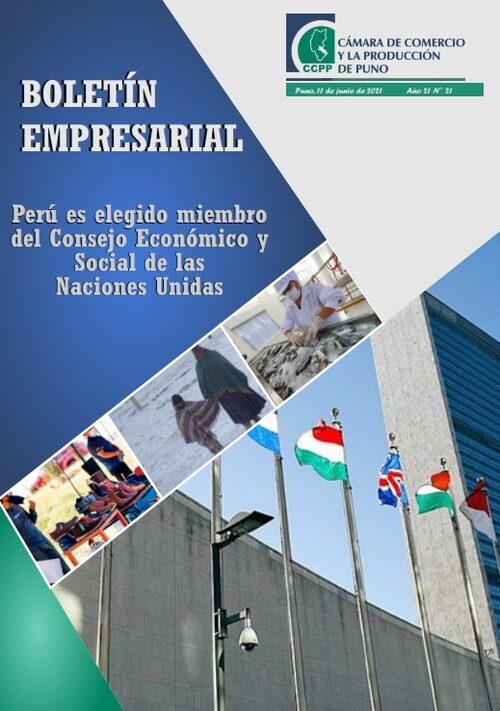 BOLETÍN SEMANAL N° 21-2021