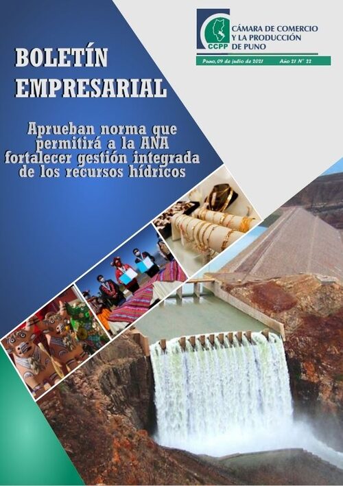 BOLETÍN SEMANAL N° 22-2021