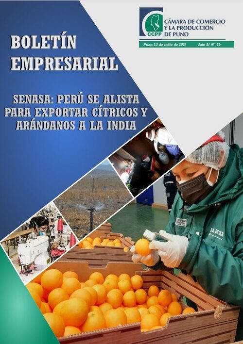 BOLETÍN SEMANAL N° 24-2021