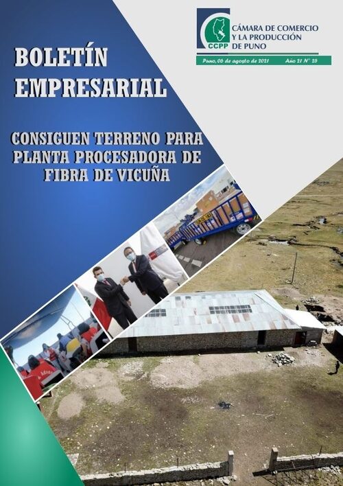 BOLETÍN SEMANAL N° 25-2021