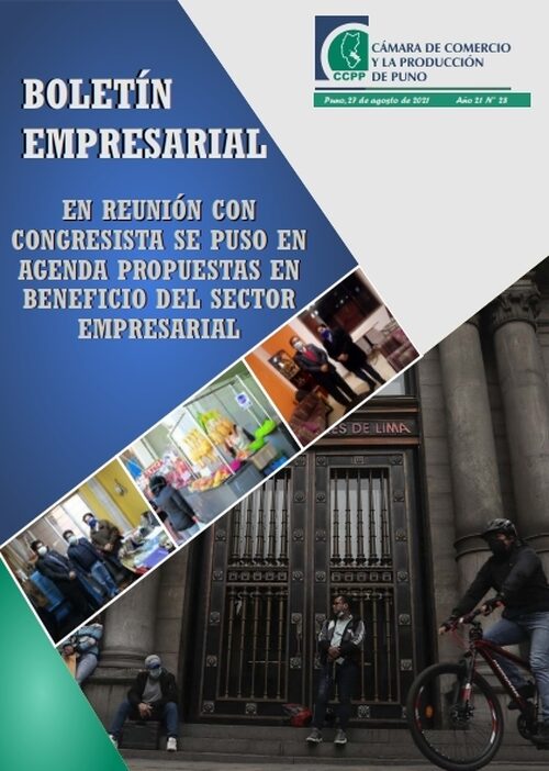 BOLETÍN SEMANAL N° 28-2021