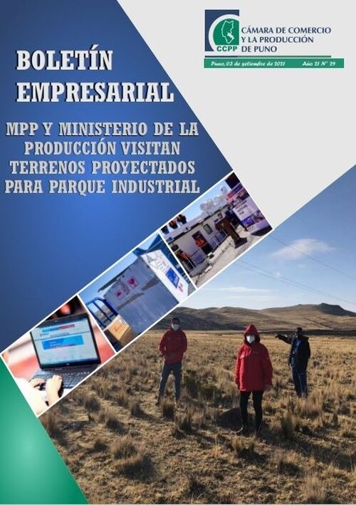 BOLETÍN SEMANAL N° 29-2021