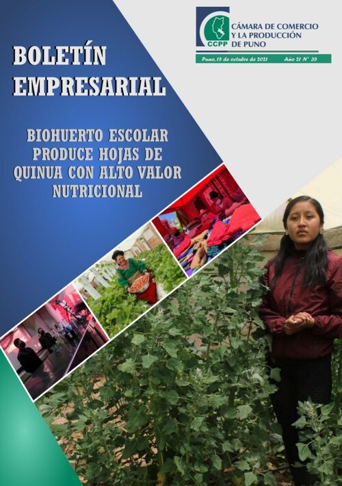 BOLETÍN SEMANAL N° 35-2021