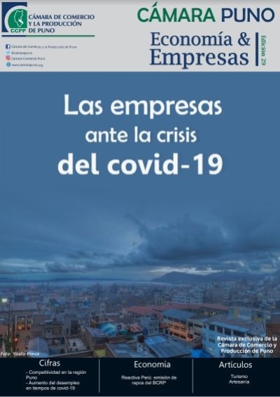 REVISTA CÁMARA PUNO 2020 - I