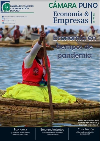 REVISTA CÁMARA PUNO 2020-II